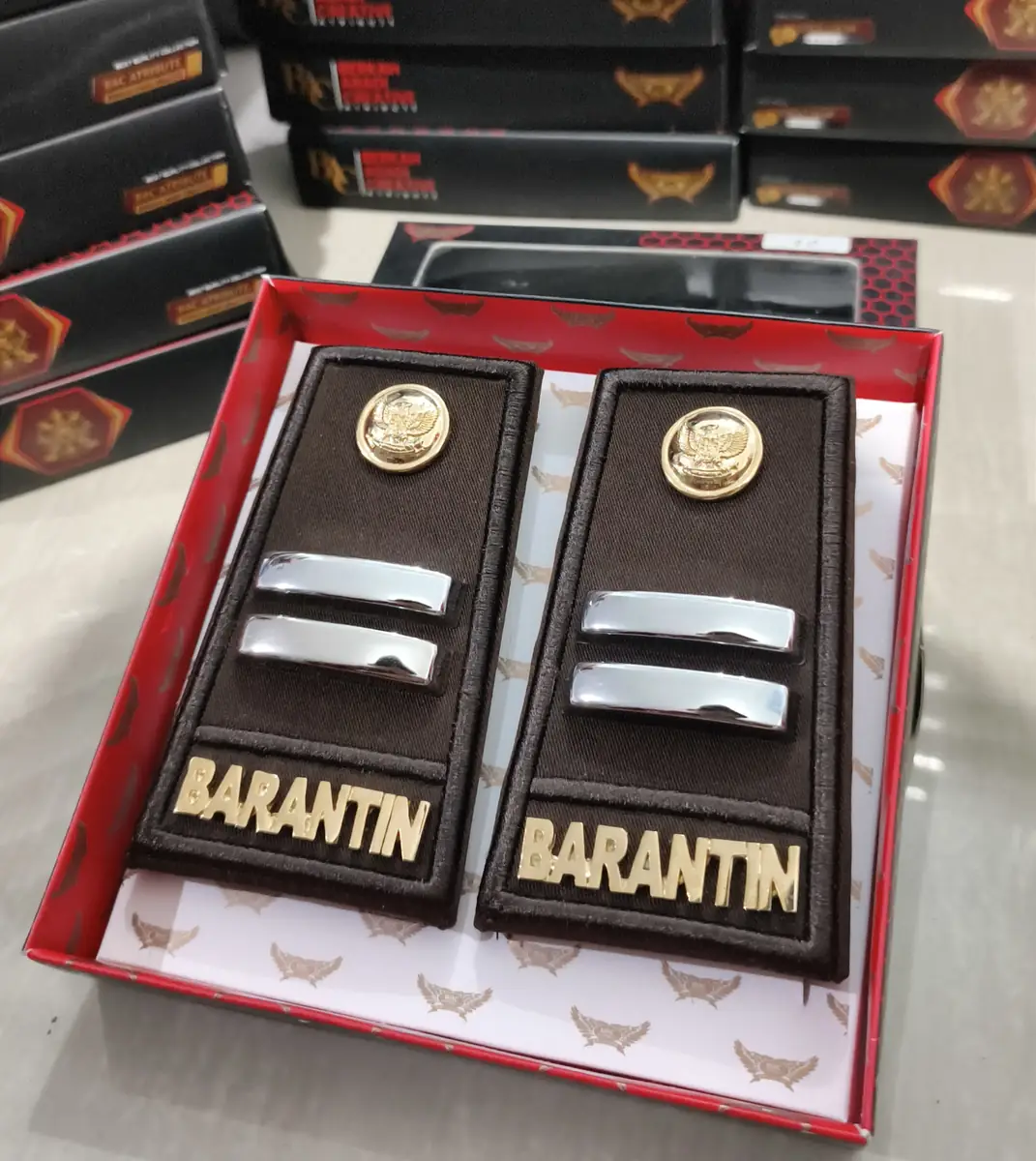 Foto Pangkat PDH Barantin 2C