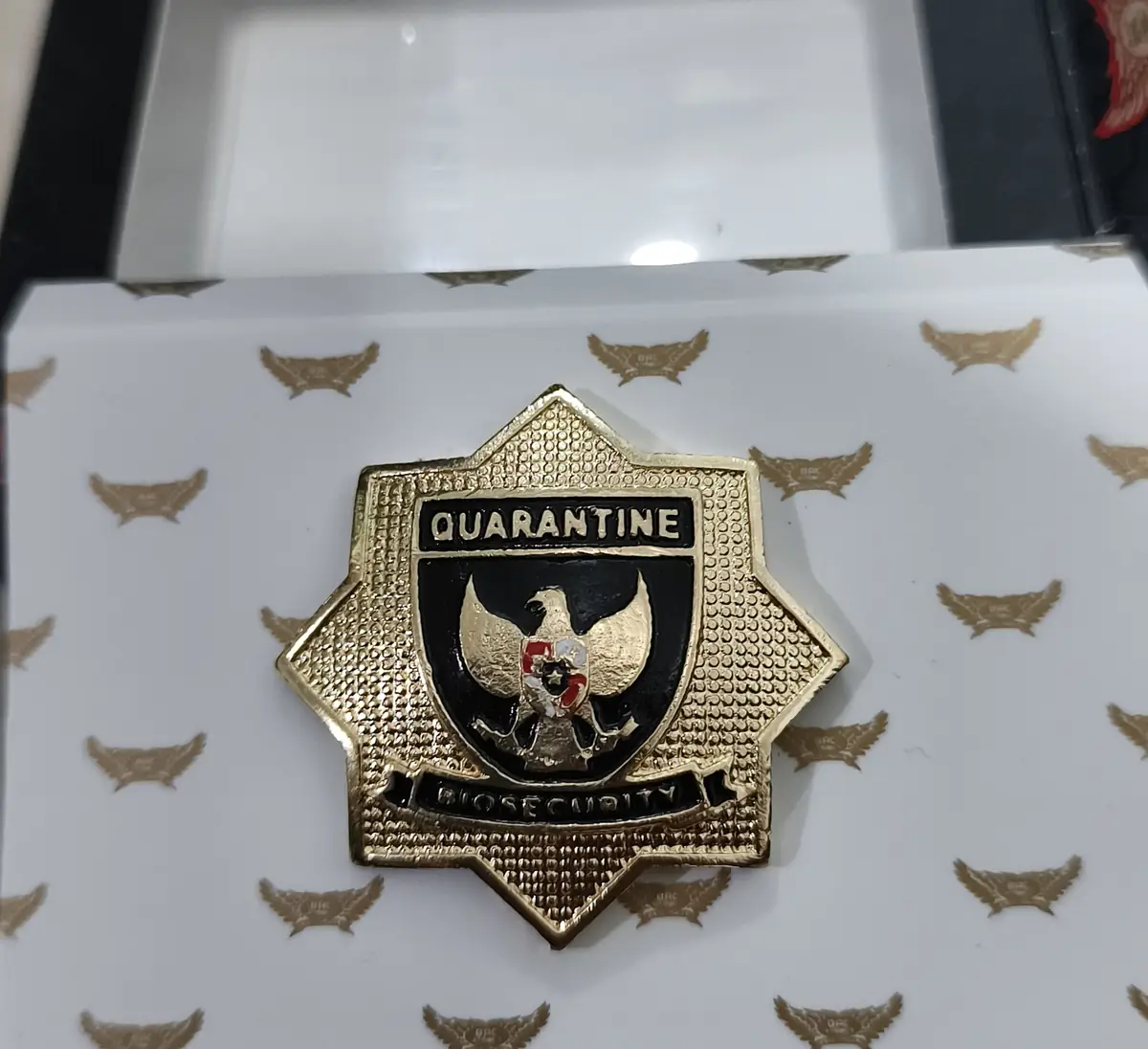 Foto Pin Quarantin Bio Security