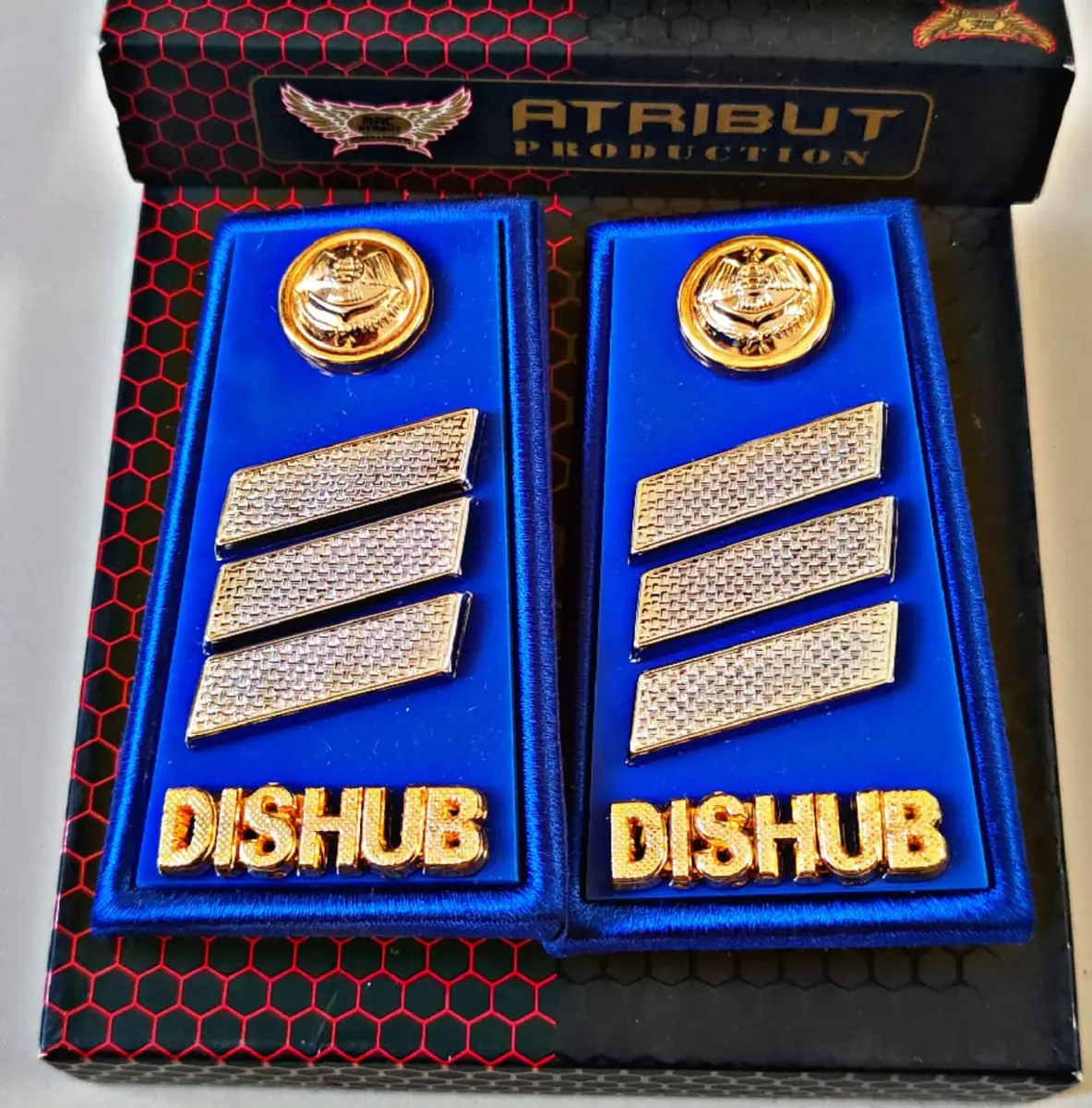 Foto PDH Dishub S1 Palang LB