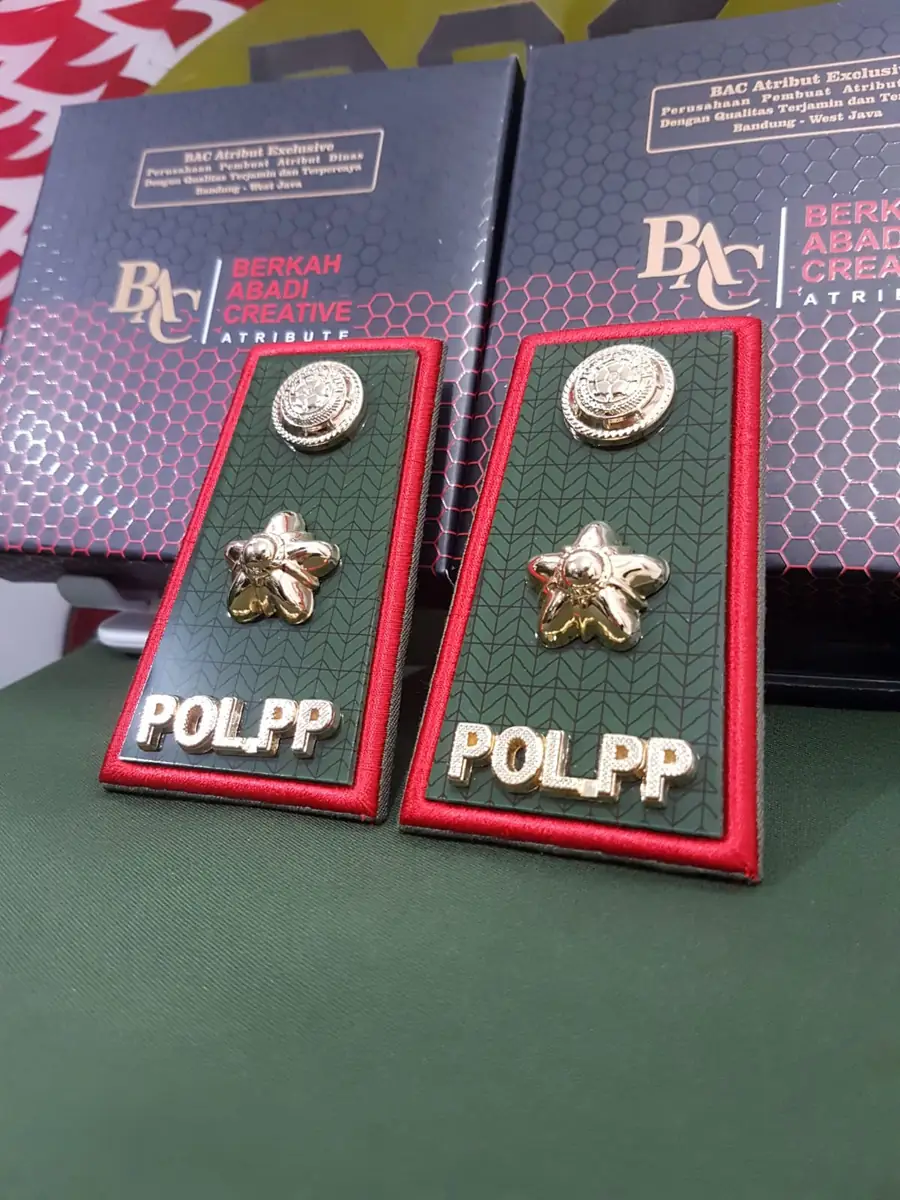 Foto Pangkat PDH Pol PP 3D