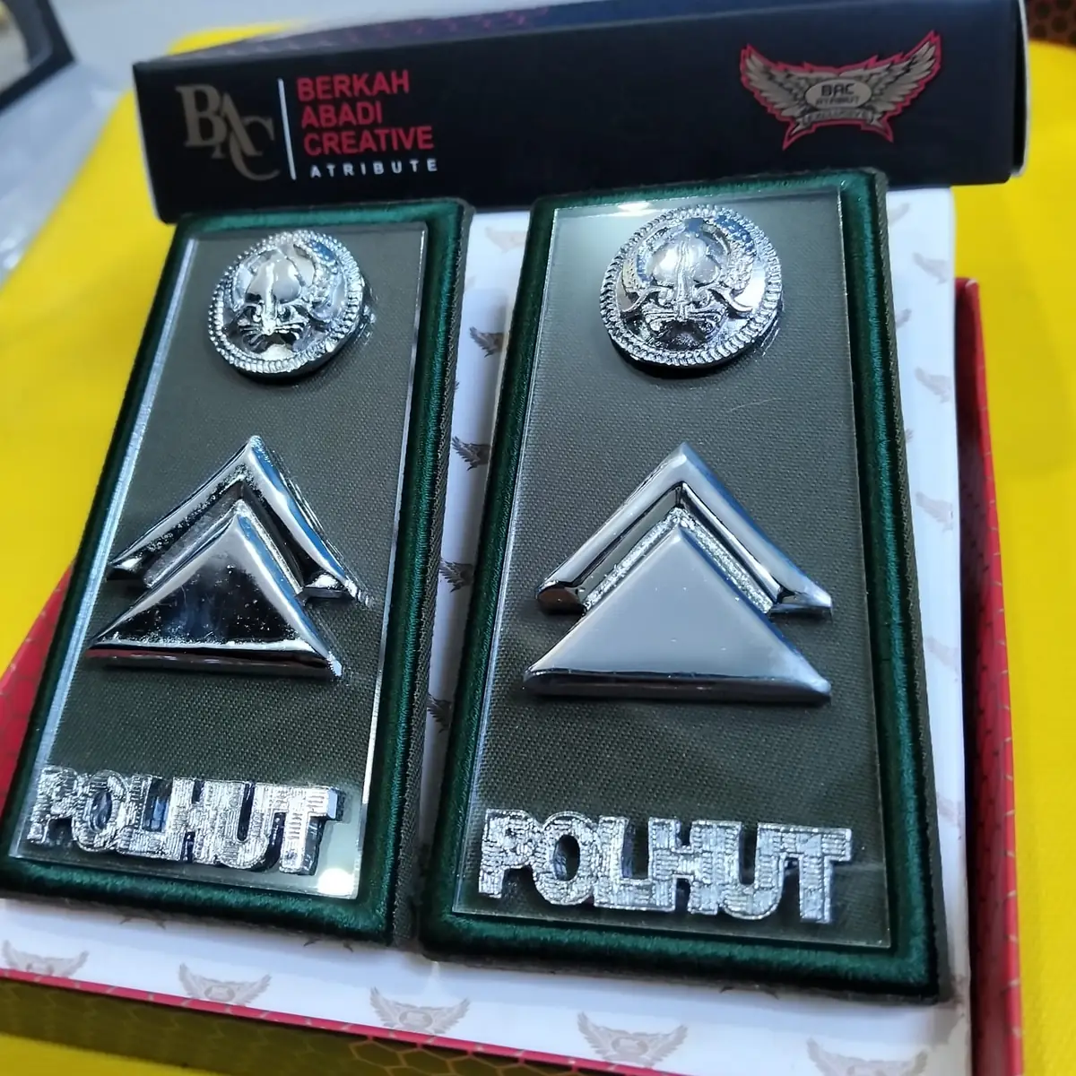 Foto Pangkat PDH Polhut 2B