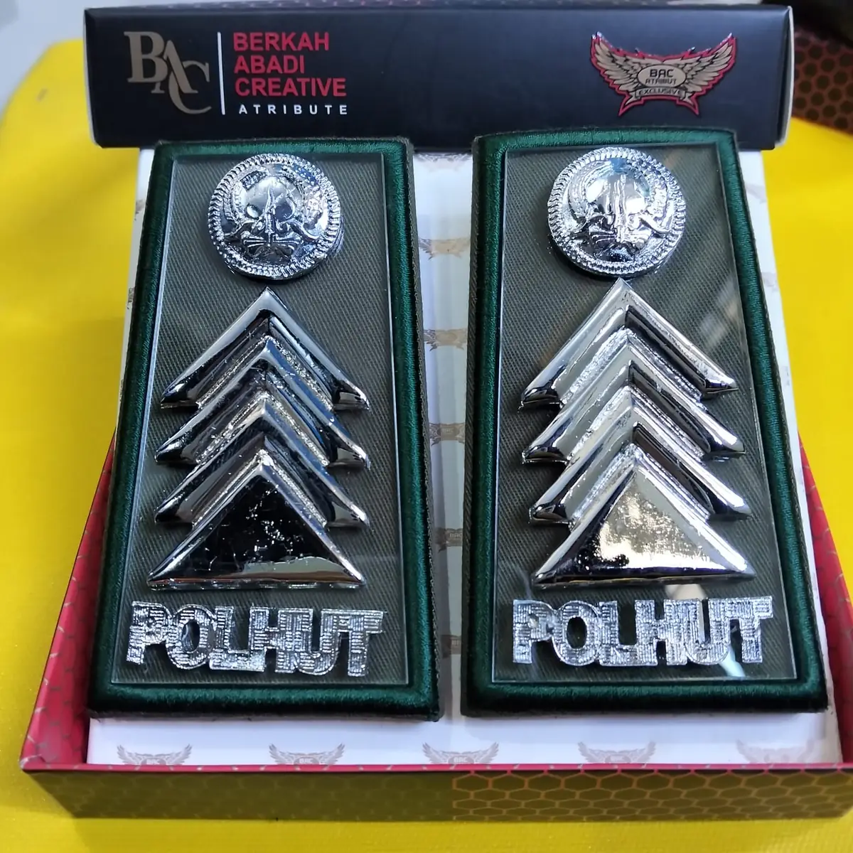 Foto Pangkat PDH Polhut 2D