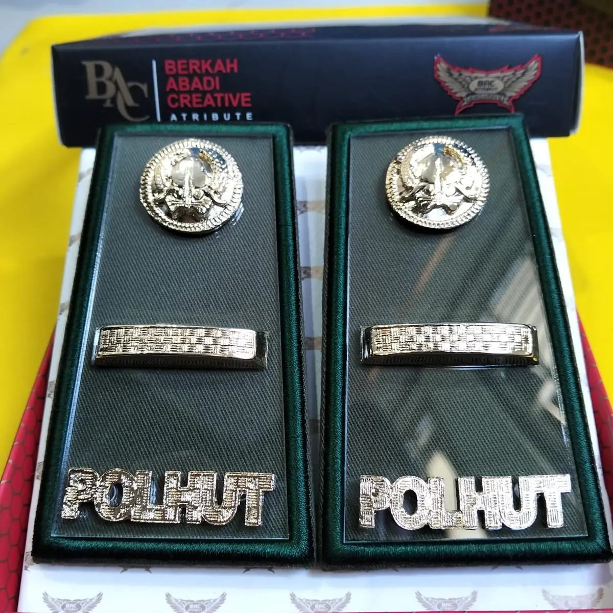 Foto Pangkat PDH Polhut 3A