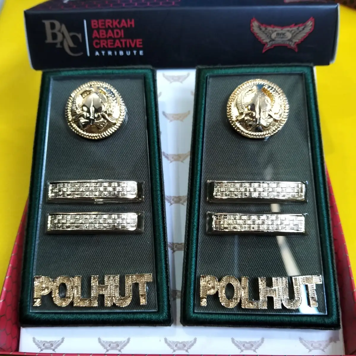 Foto Pangkat PDH Polhut 3B