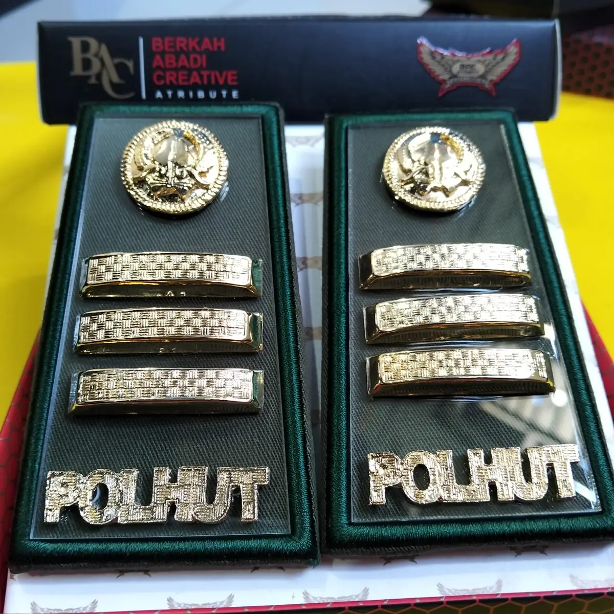 Foto Pangkat PDH Polhut 3C