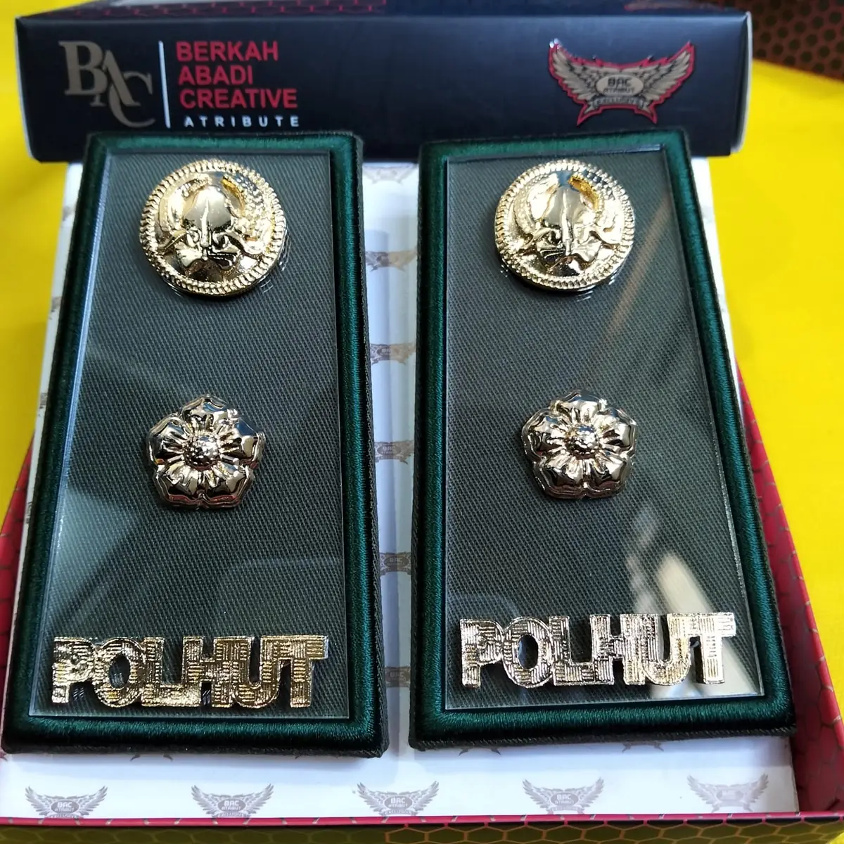 Foto Pangkat PDH Polhut 3D
