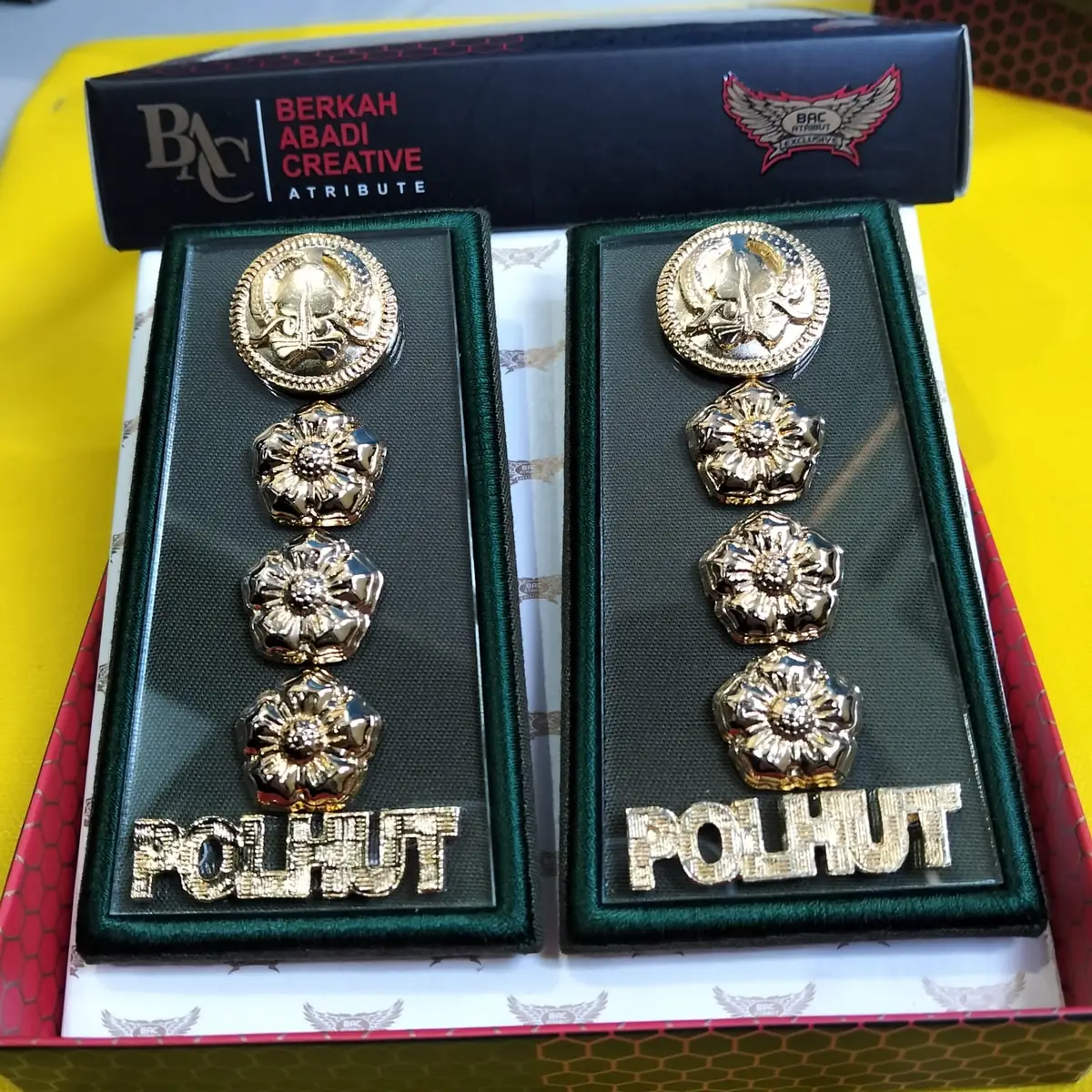Foto Pangkat PDH Polhut 4B