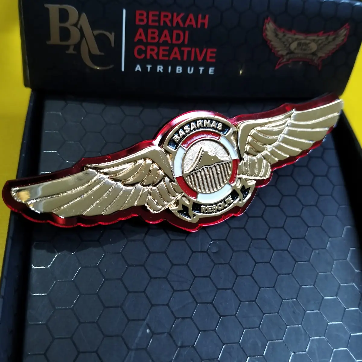 Foto Wing Basarnas Rescue