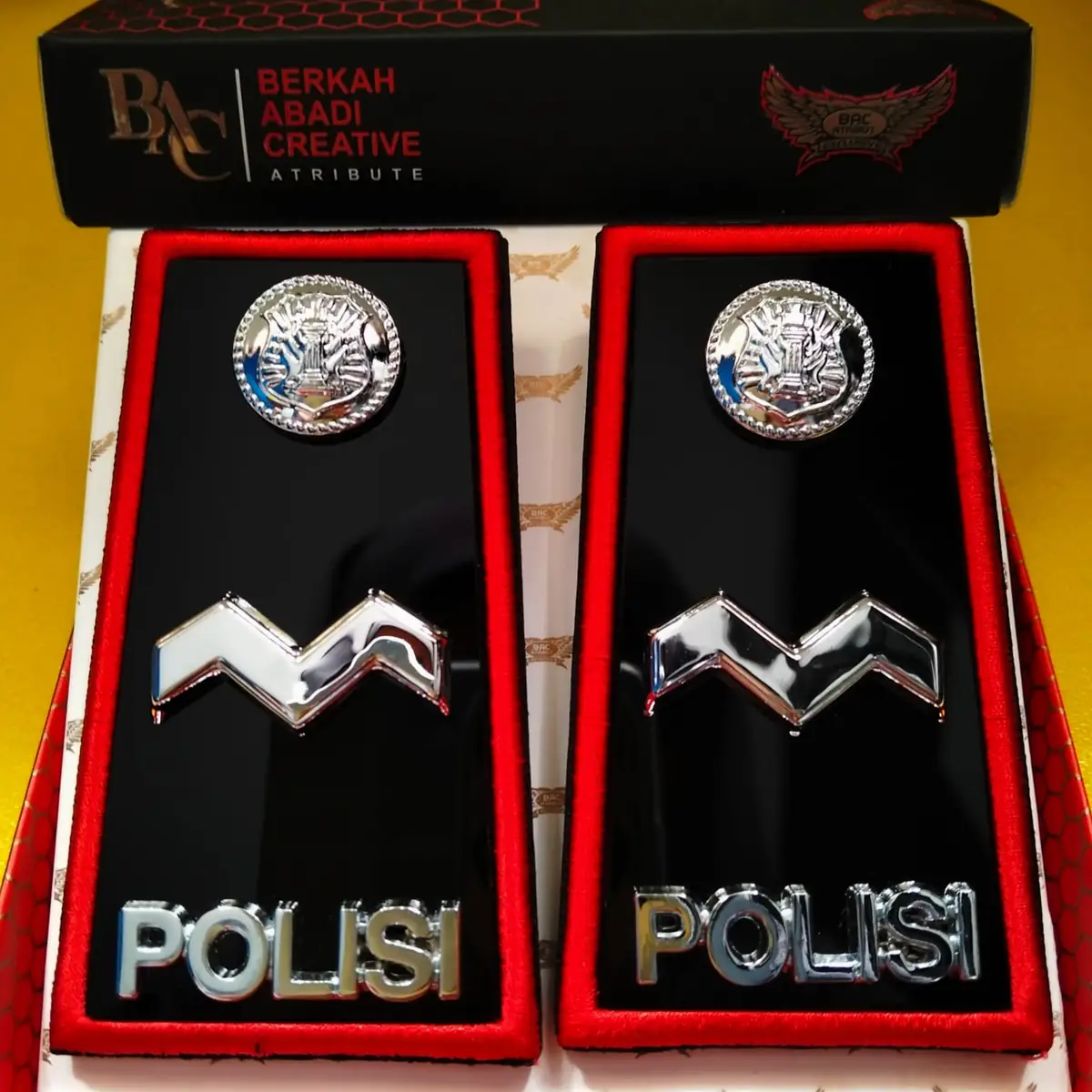 Foto Pangkat PDH Aipda