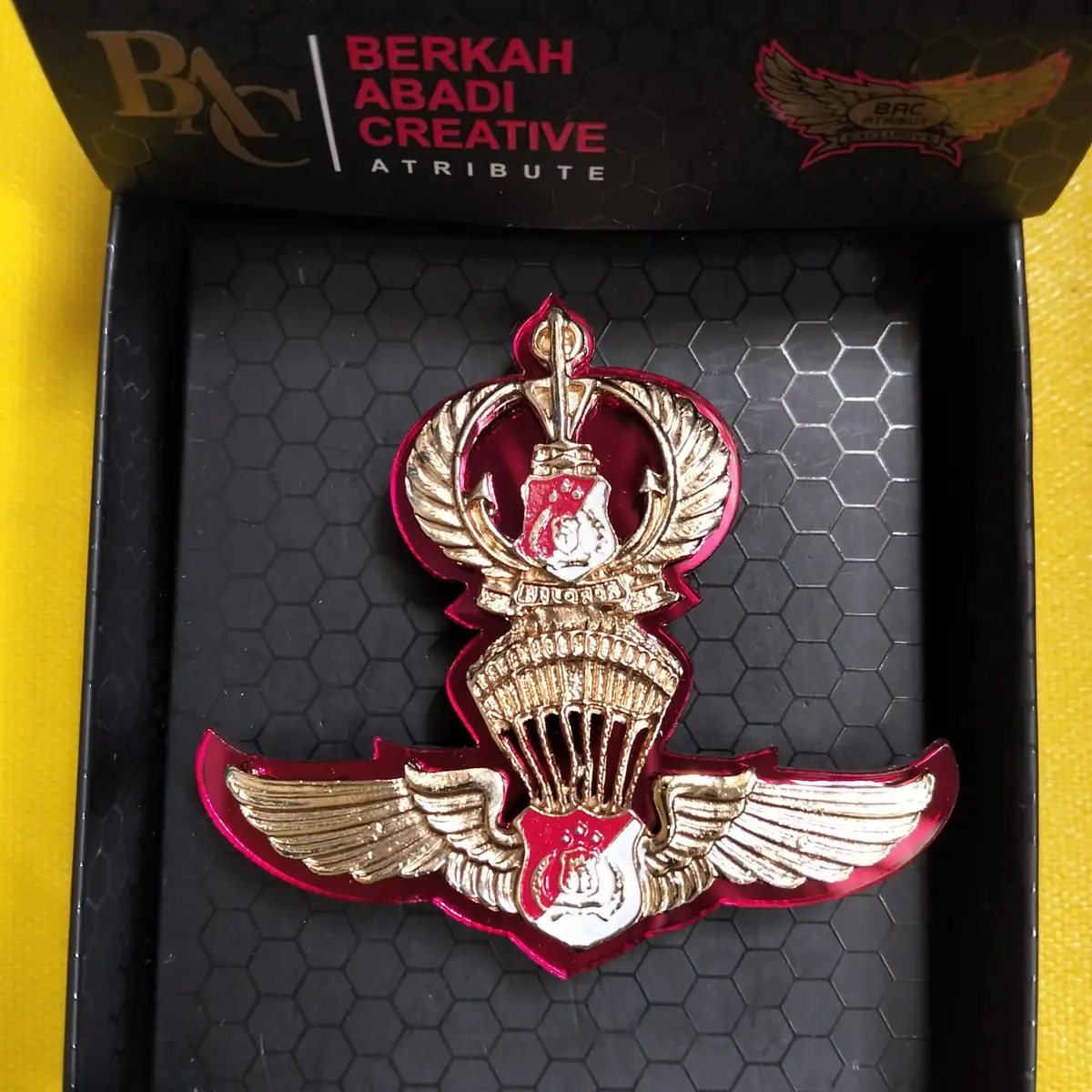 Foto Pin Terjun Polisi