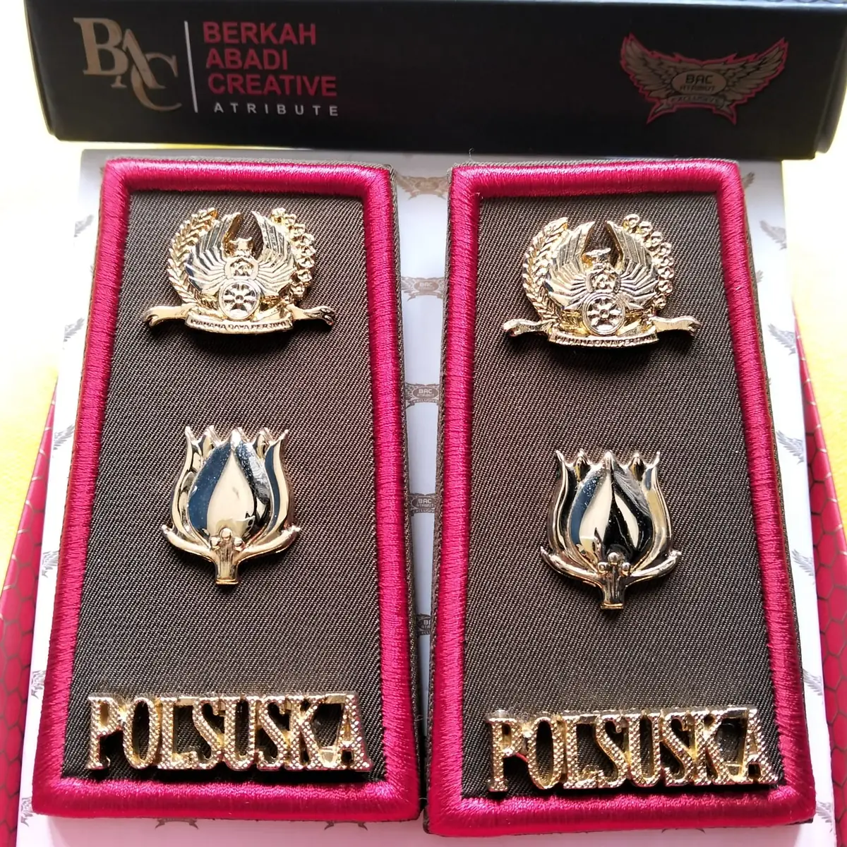Foto Pangkat PDH Polsuska 3D